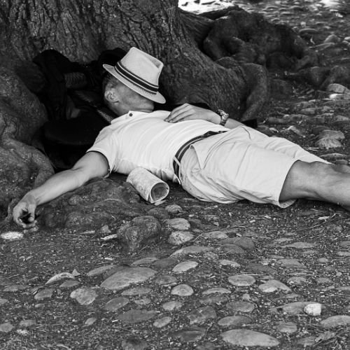 Sieste