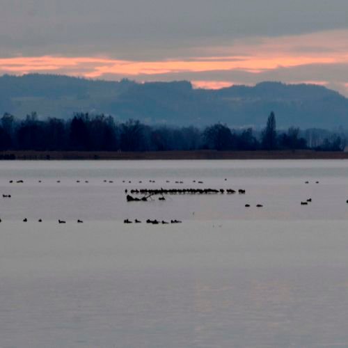Lac calme