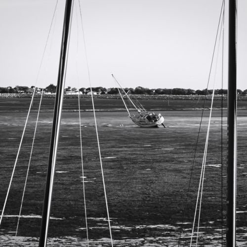 Marée basse