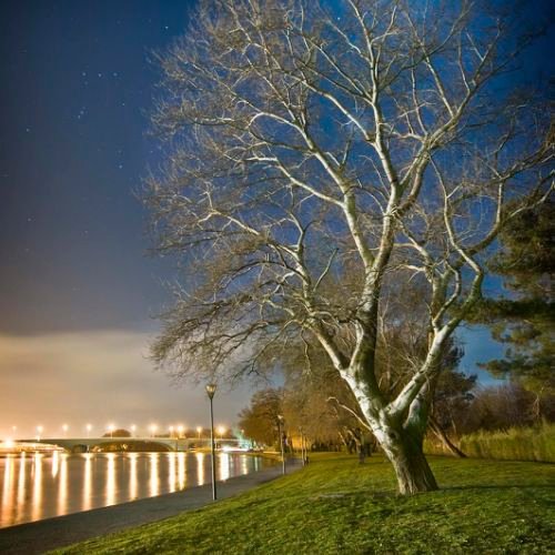 Clair de lune