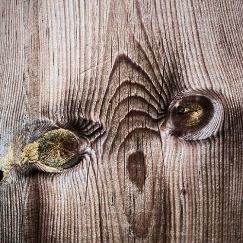 Yeux de bois