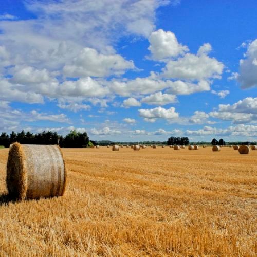 Aprés la moisson