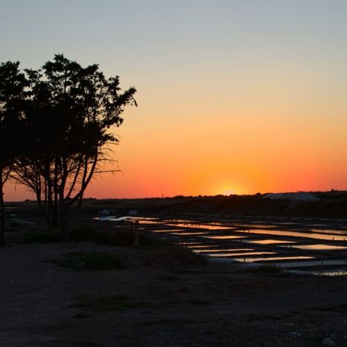 Marais